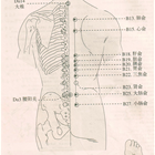 Rhonda M. Giddings, LAc., LPOM, MAc., AP, LMT | Acupuncturist photo