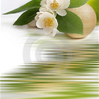 Holistic Health Treatments | Alternative Therapist / Holistic Healer photo