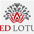 Yvonne Scarlett | Doctor of Acupuncture and Oriental Medicine (DAOM) photo