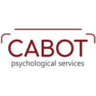 Amanda Mulfinger, PhD, LP photo