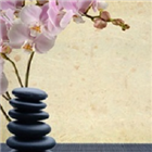 Kat Shea Healing Arts photo